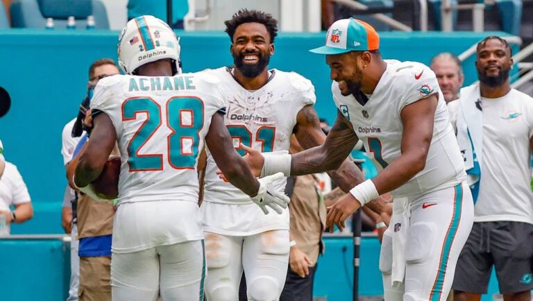 dolphins core