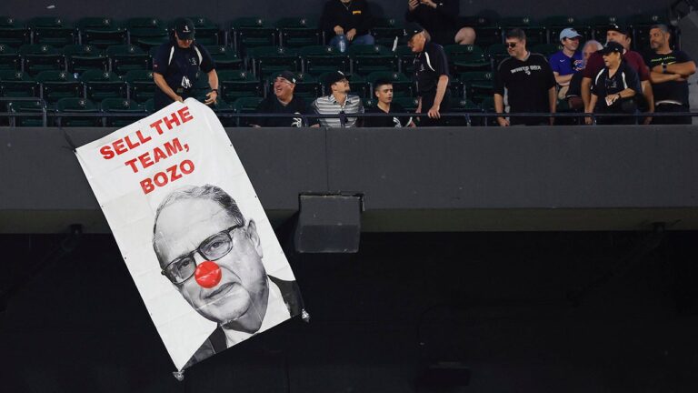 Jerry Reinsdorf flag