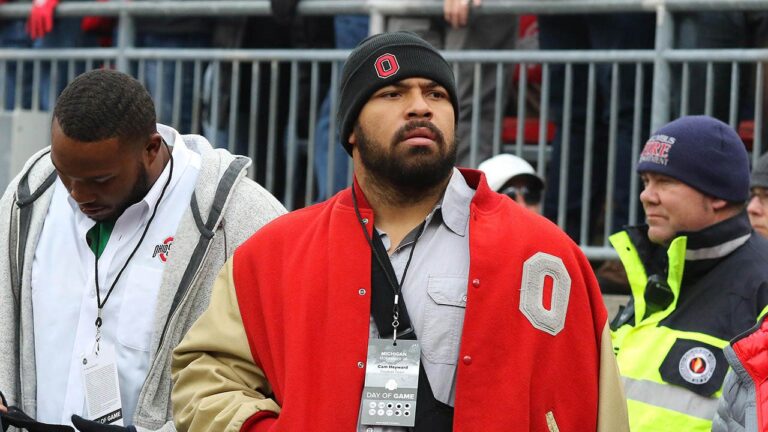 cam heyward osu