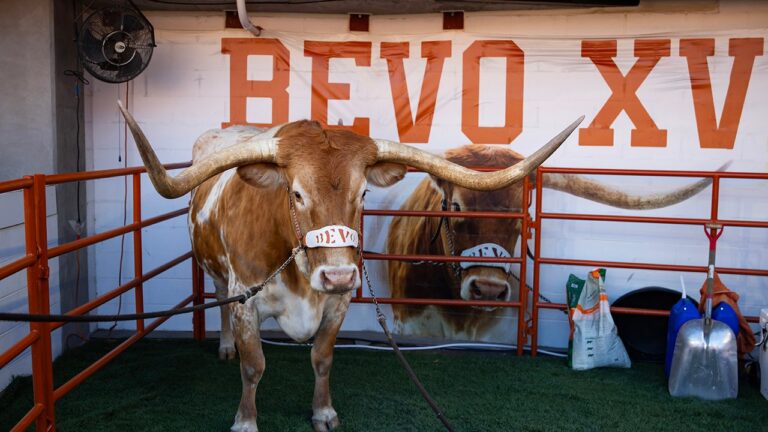 ec555645 bevo