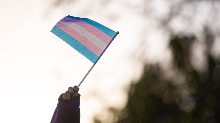 transgender flag