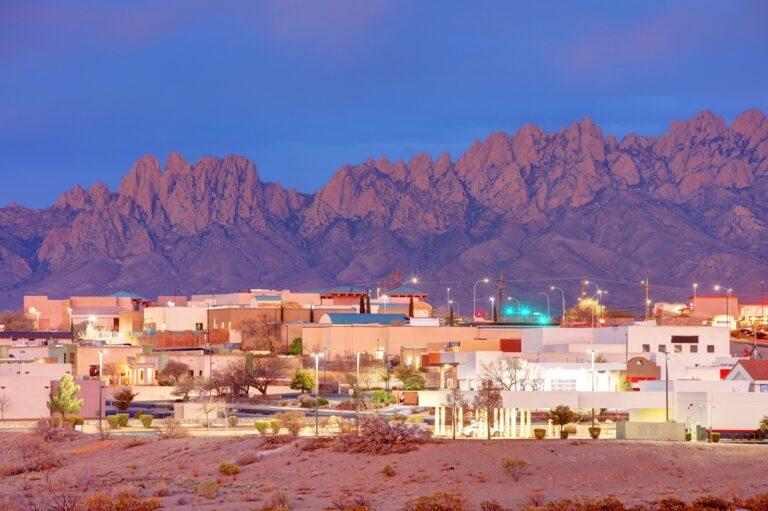Las Cruces BHGRE Steinborn 2202516587