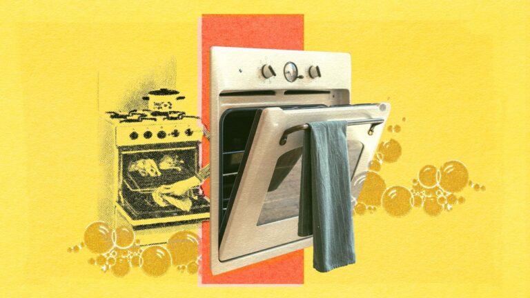Clean20oven Cleaning Adiy 2024