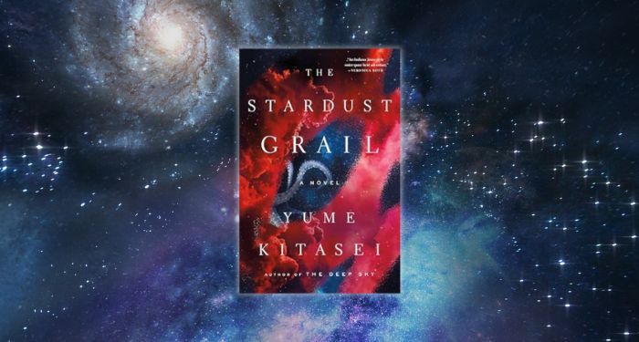 stardust grail book cover against backdrop of space.jpg.optimal
